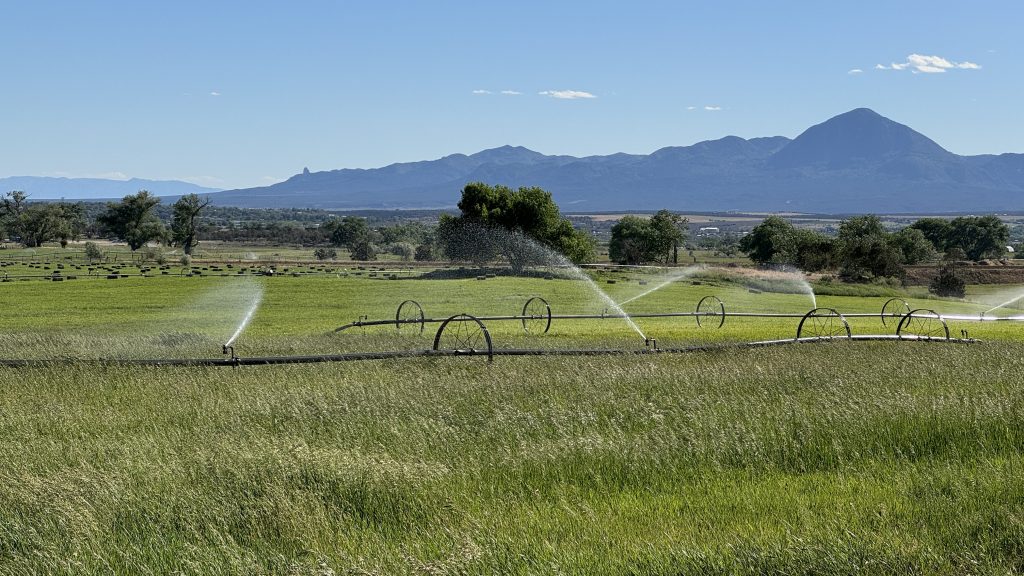 Photo of a field with a linear sprinkler irrigation system, with mountains in the background.